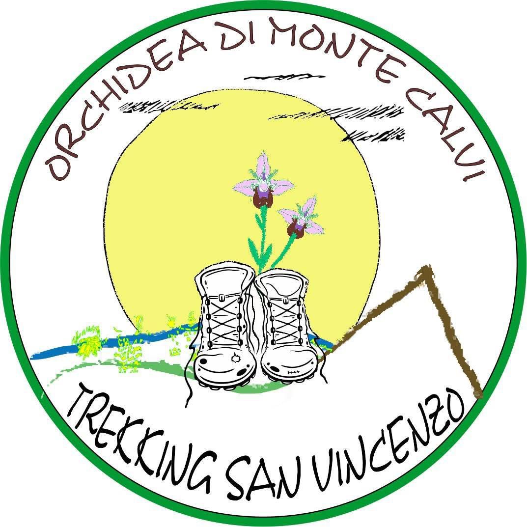 ORCHIDEA DEI MONTE CALVI TREKKING SAN VINCENZO